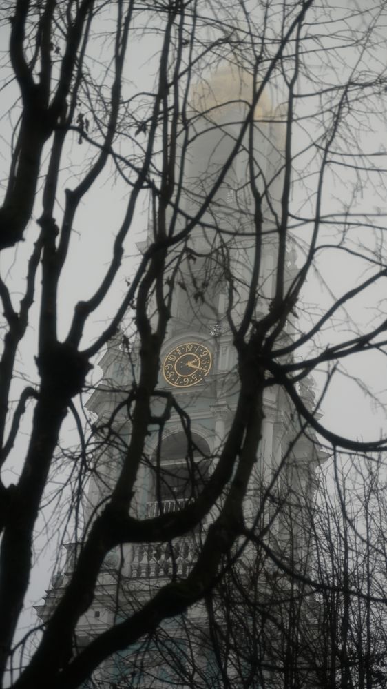 Фотография автора Татьяна Гуревич