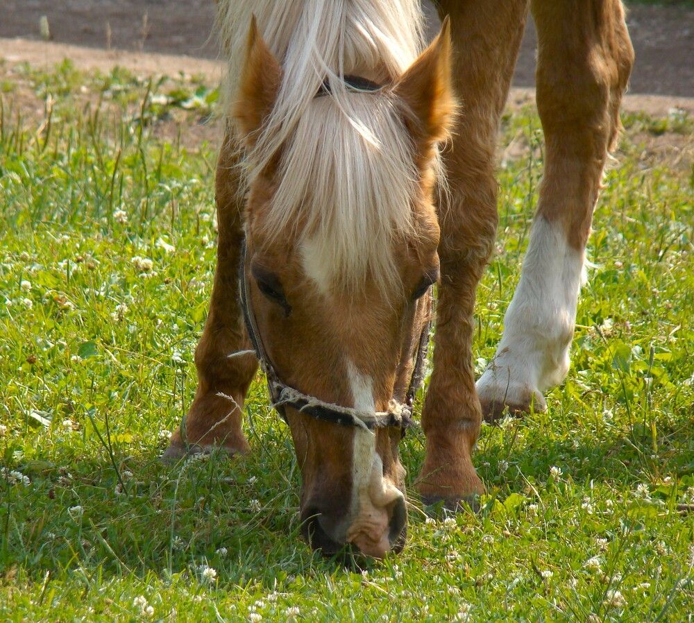Фотография автора Zakharov Matvey