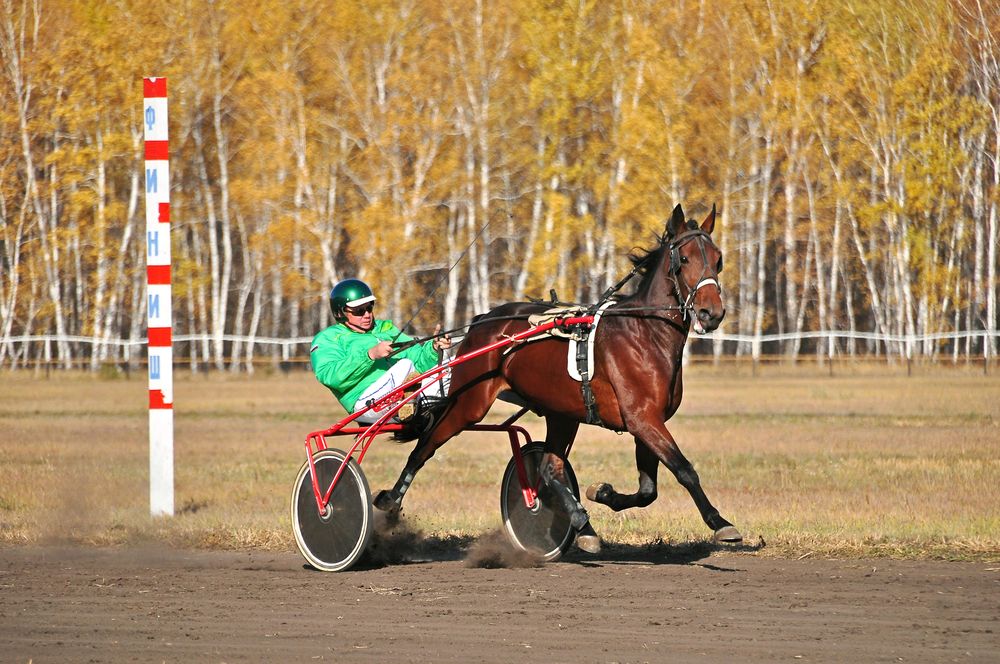 Соревнование