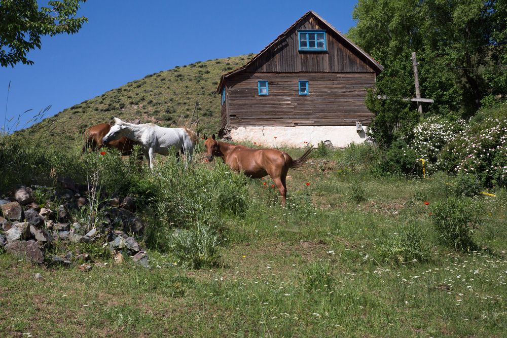 Photograph by Наталья Снеговая