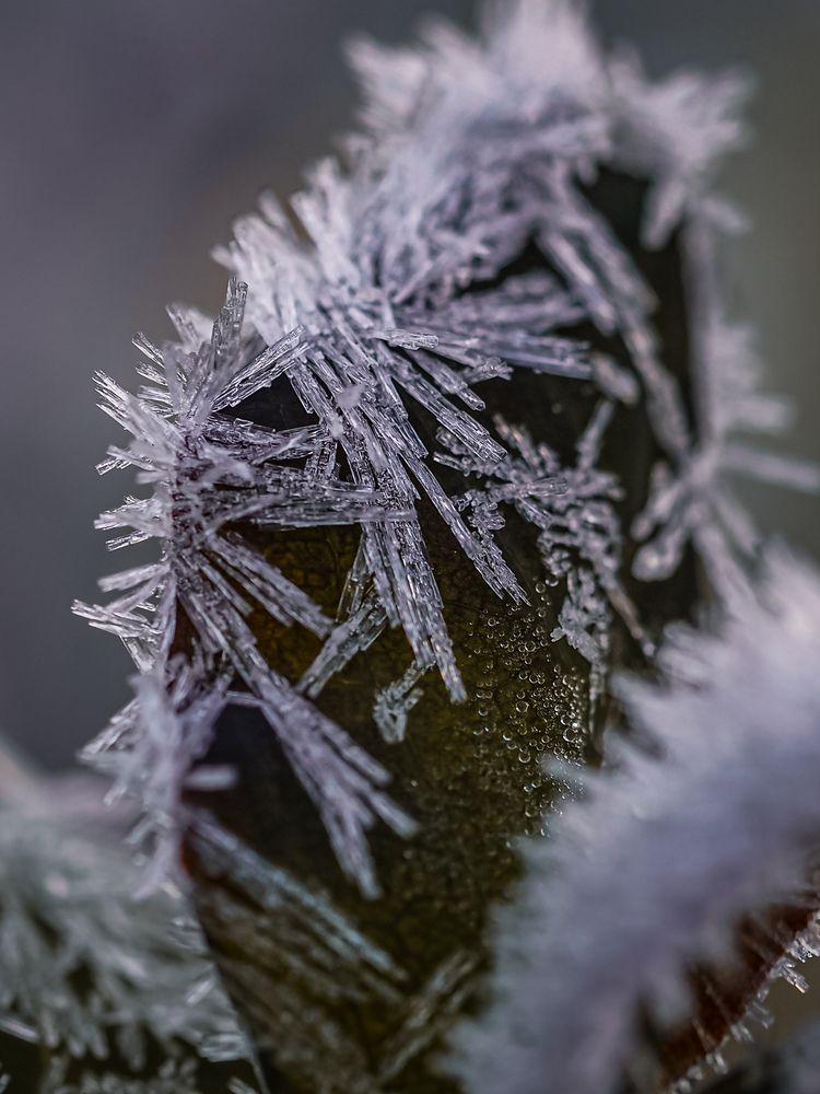 Photograph by Isaeva Maria