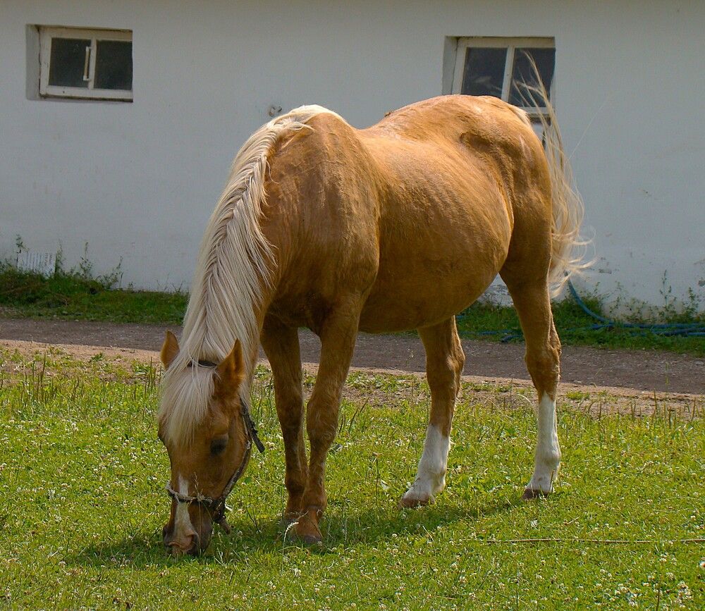 Фотография автора Zakharov Matvey