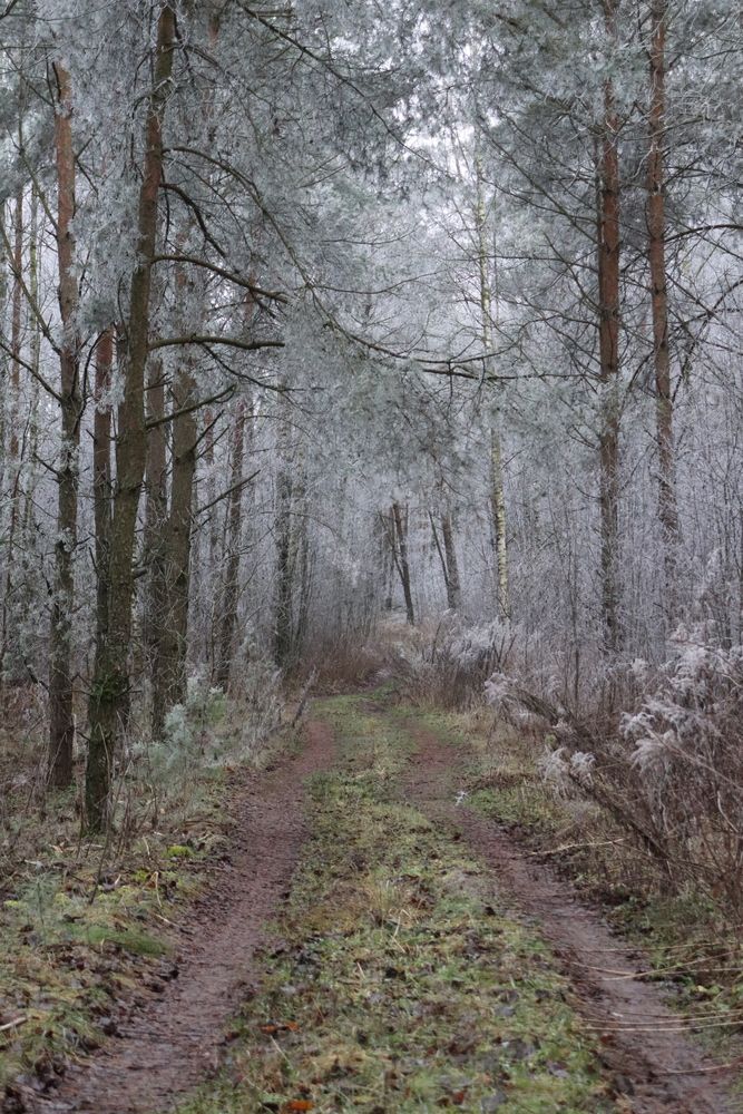 Photograph by Алексейчик Дмитрий