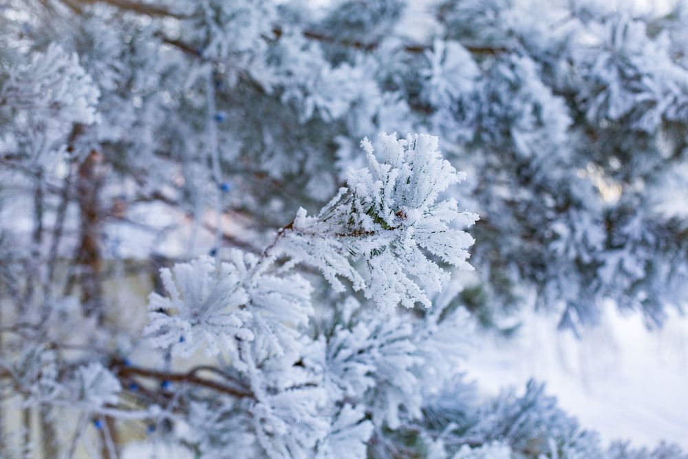 Photograph by Евгений Насибуллин