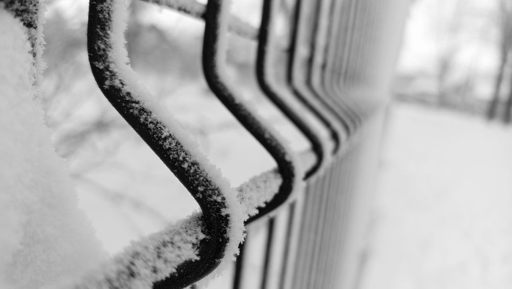 Photograph by Екатерина Казырицкая