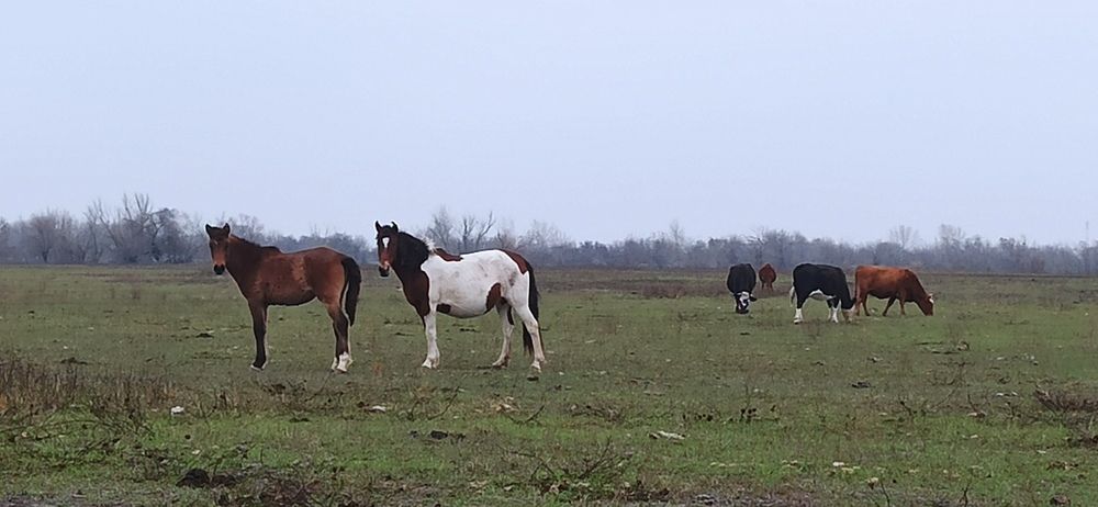 Photograph by Валерия Сопова