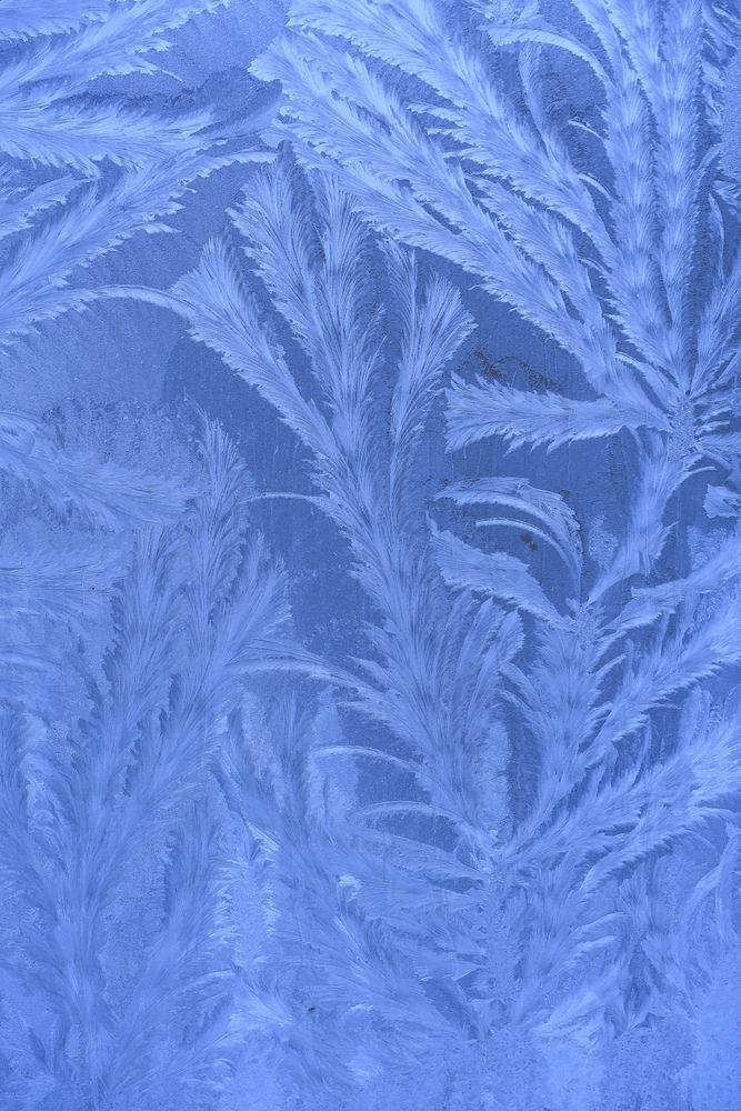 Photograph by Орл Про