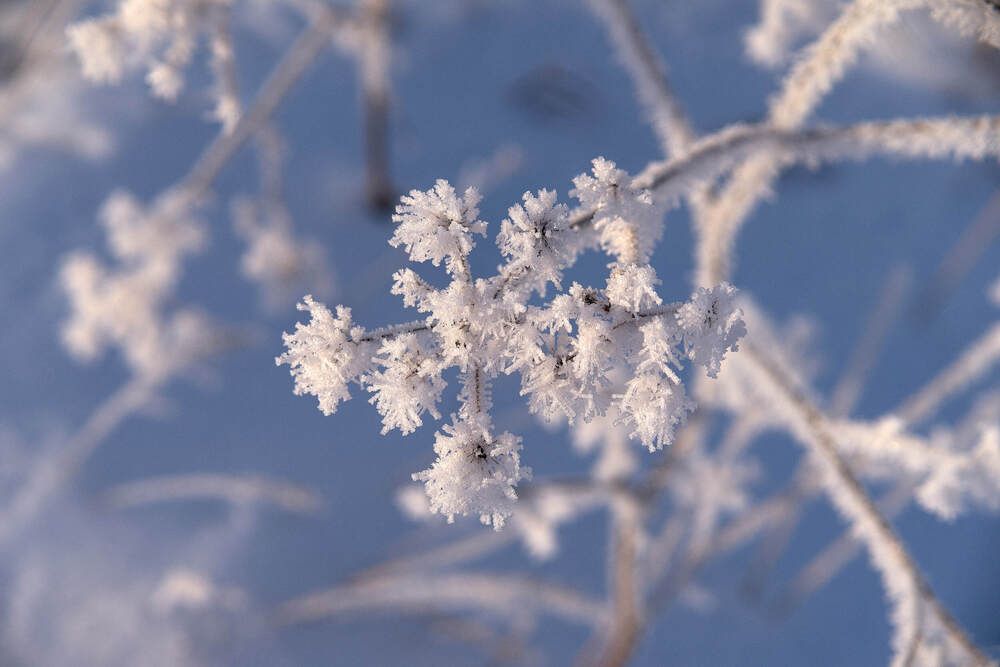 Photograph by Максим Карпович