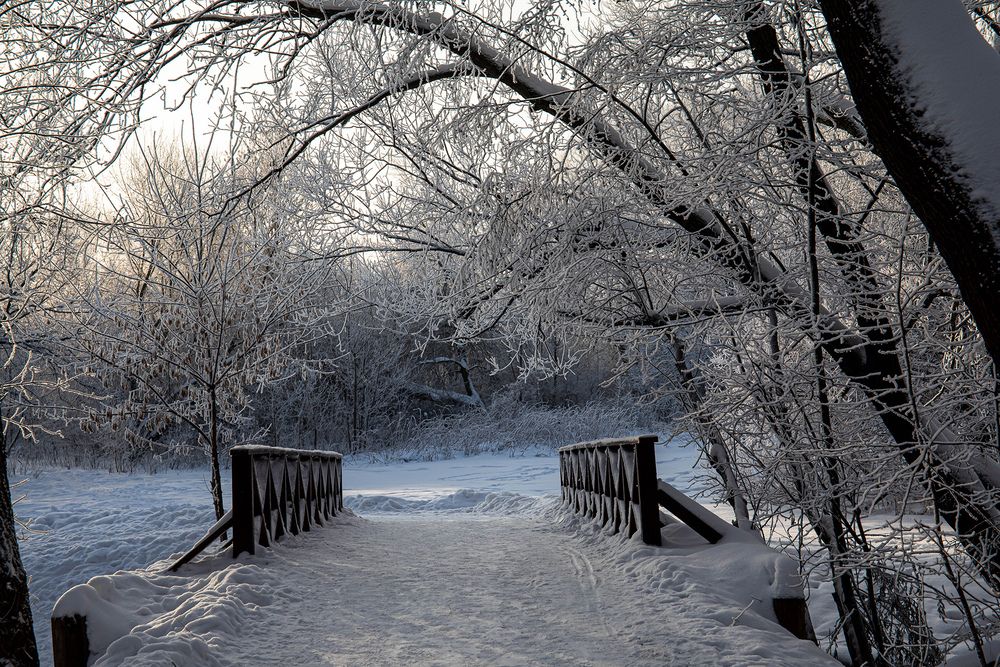 Photograph by Волынский Виктор