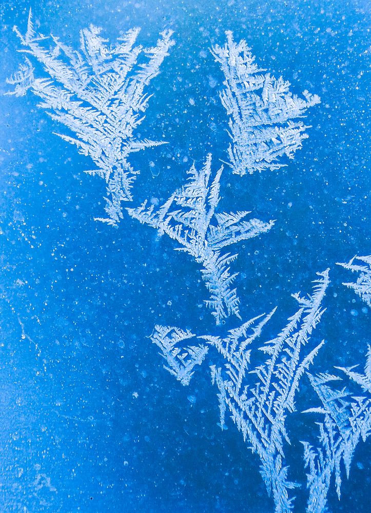 Фотография автора Гоголев Игорь