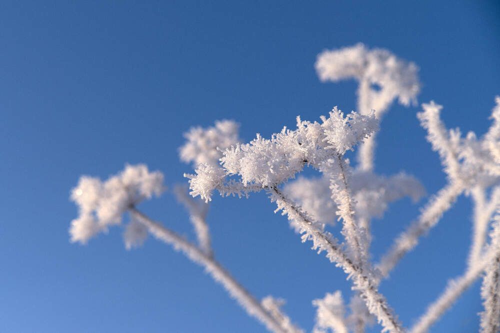 Photograph by Максим Карпович