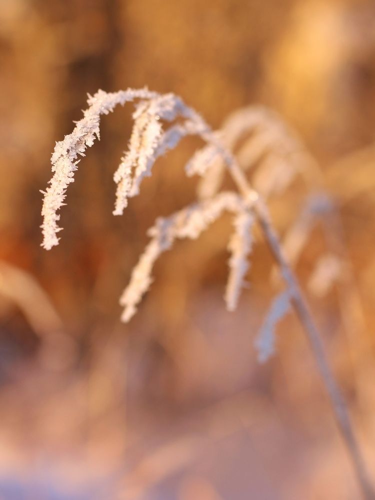 Фотография автора Андрей Шестаков