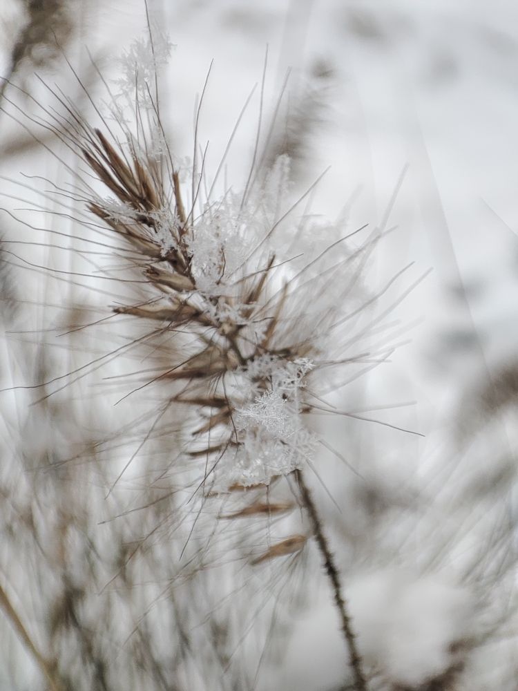 Photograph by Юлия Бурминская