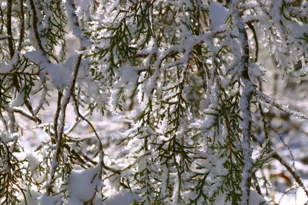 Photograph by Игорь Куленко