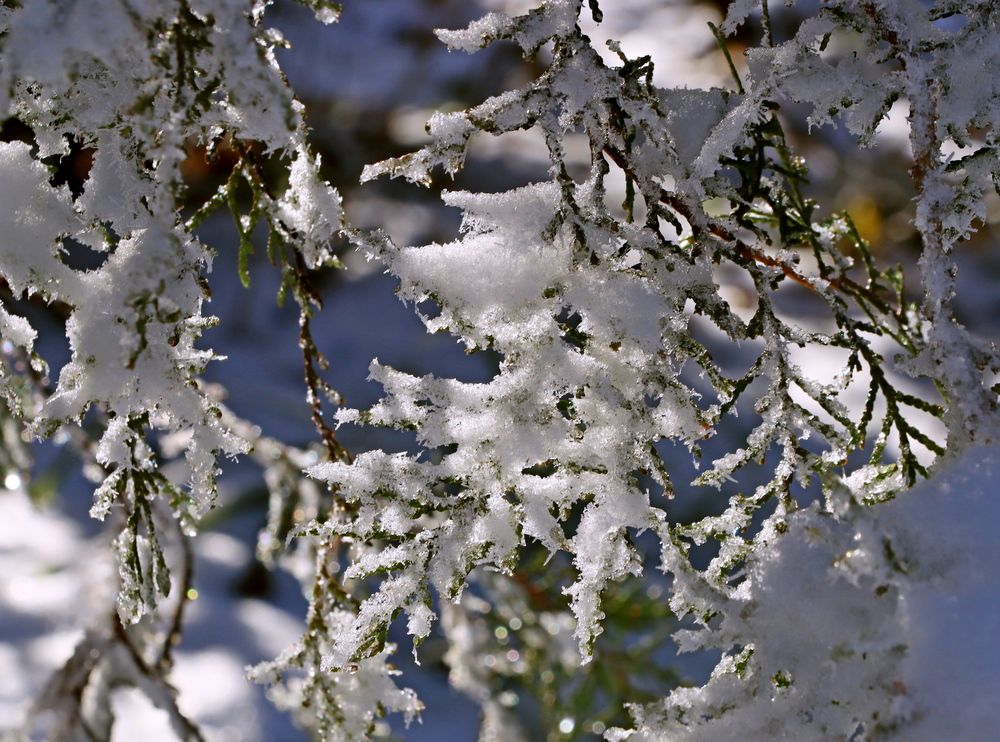 Photograph by Игорь Куленко