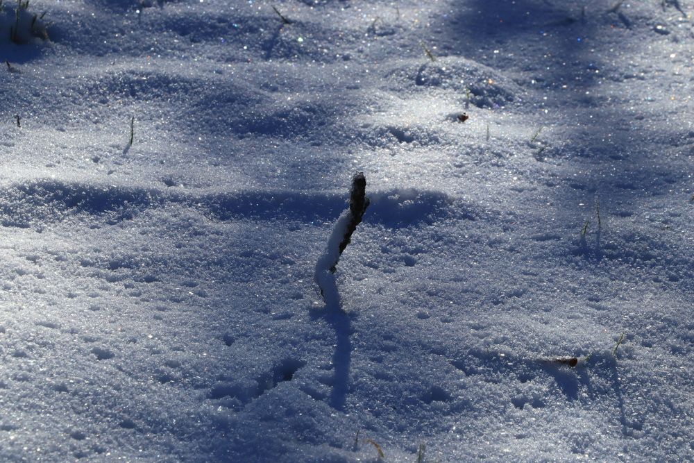 Photograph by Игорь Куленко