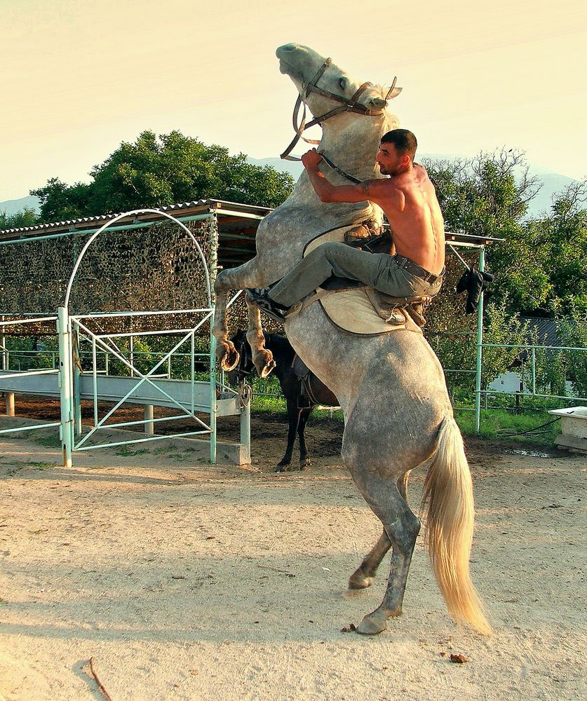 Наездник и укротитель необъезженных