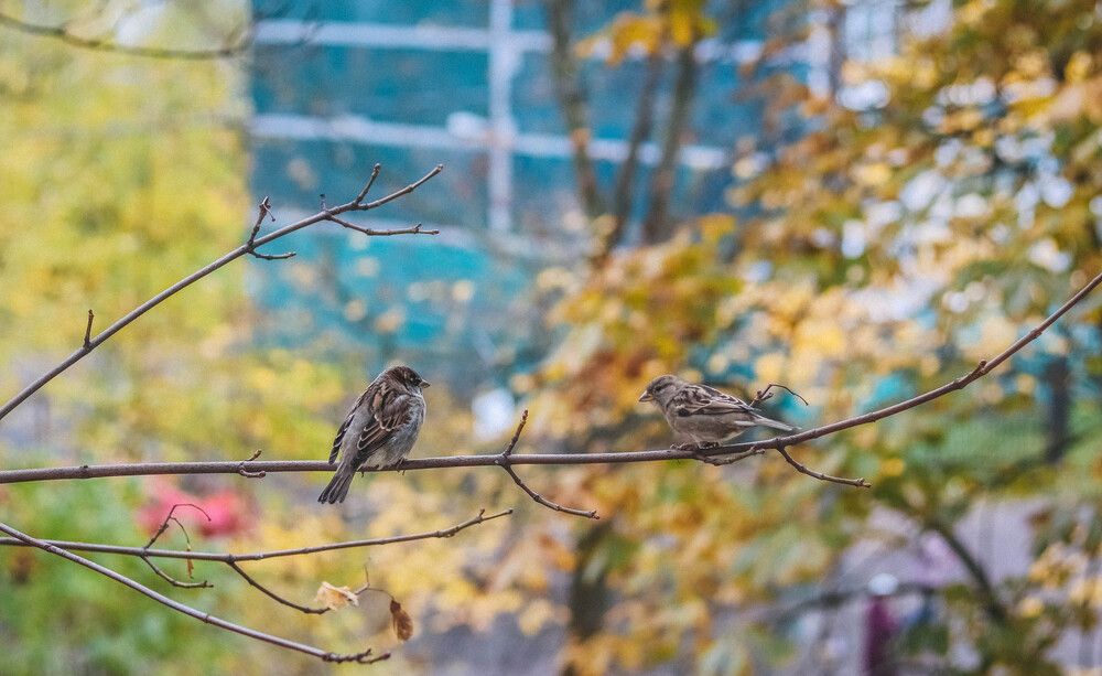 Photograph by Олеся Богомаз
