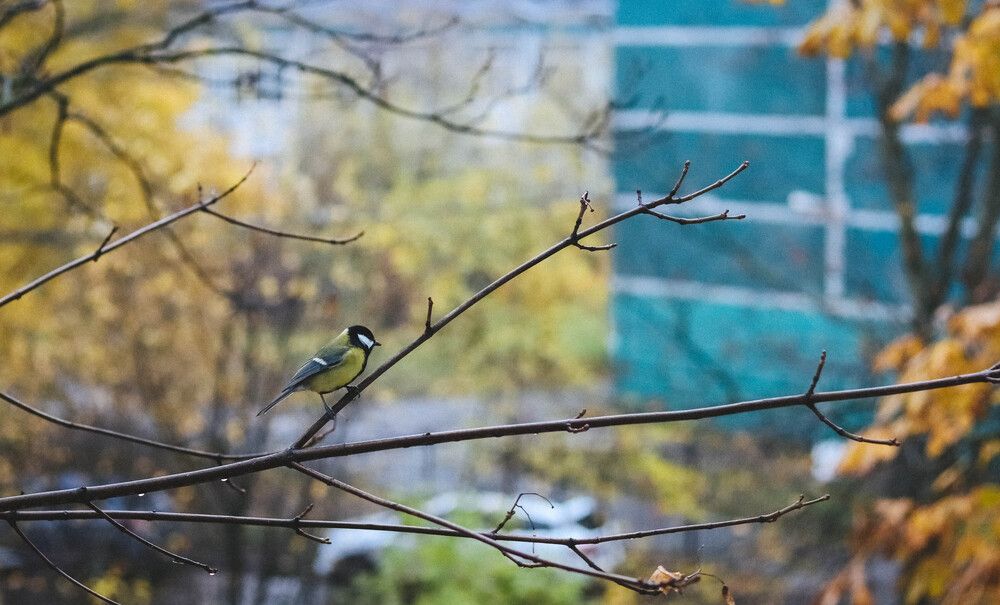 Photograph by Олеся Богомаз