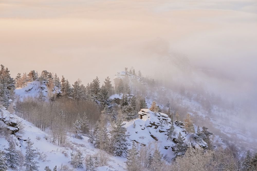 Photograph by Ольга Новикова