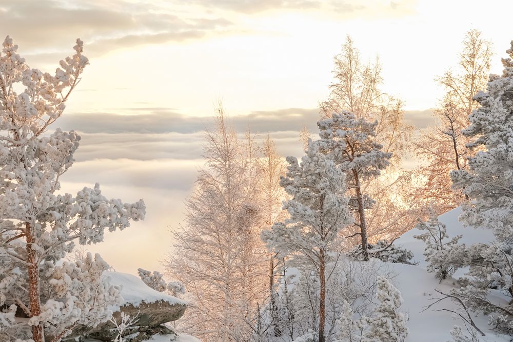 Photograph by Ольга Новикова