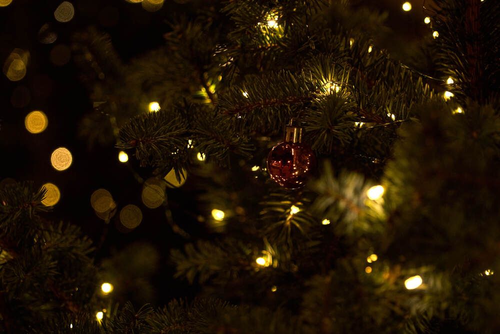 Фотография автора Dana Korolkova