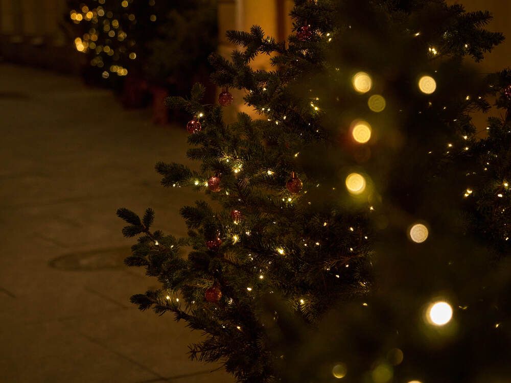 Фотография автора Dana Korolkova