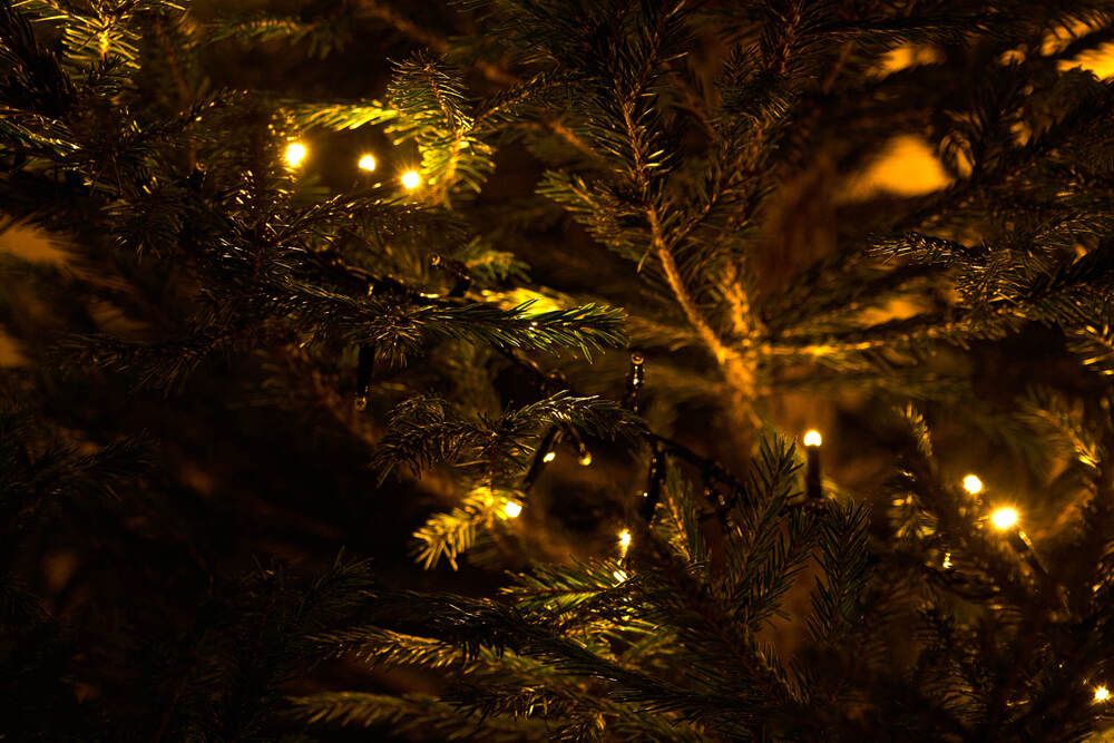 Фотография автора Dana Korolkova