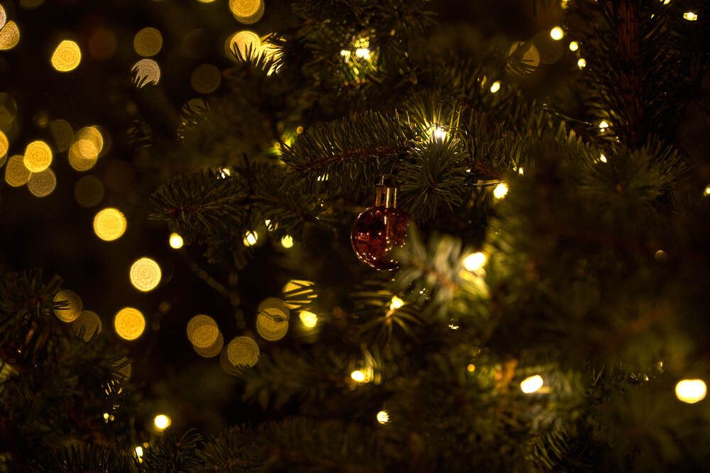 Фотография автора Dana Korolkova