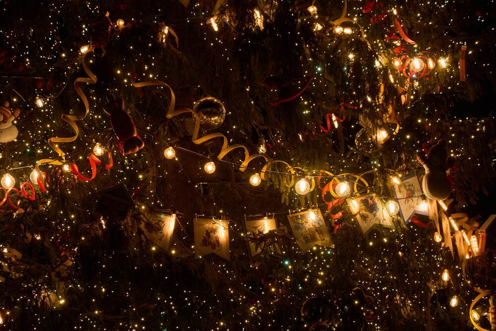 Фотография автора Dana Korolkova