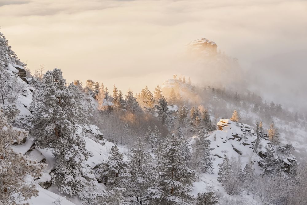 Photograph by Ольга Новикова