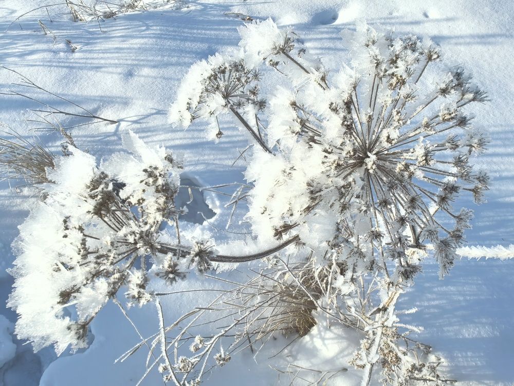 Photograph by Анна Якубинас