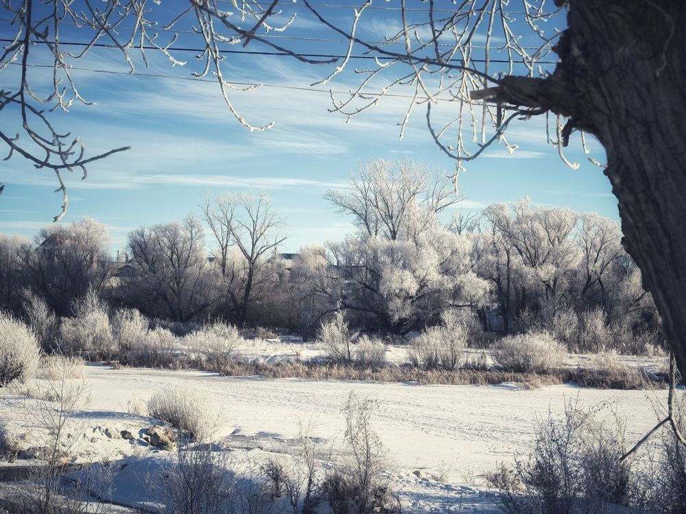 Photograph by Анна Якубинас