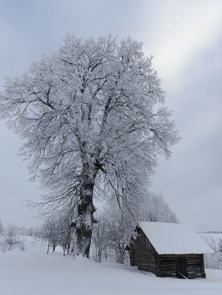 Photograph by Юрий Гордеев