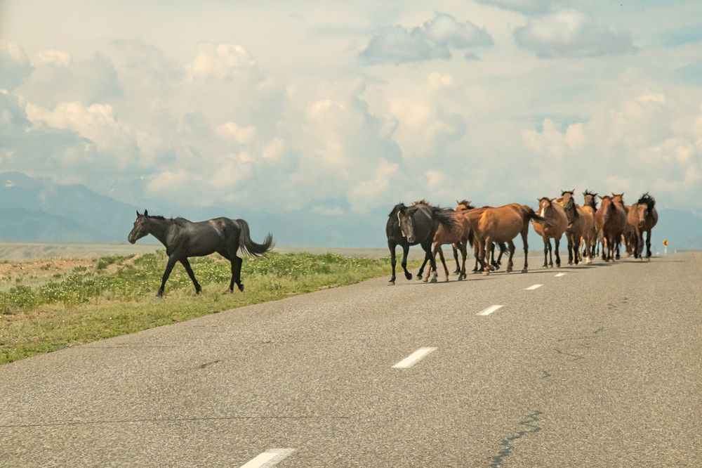 Фотография автора Антонина Кузнецова