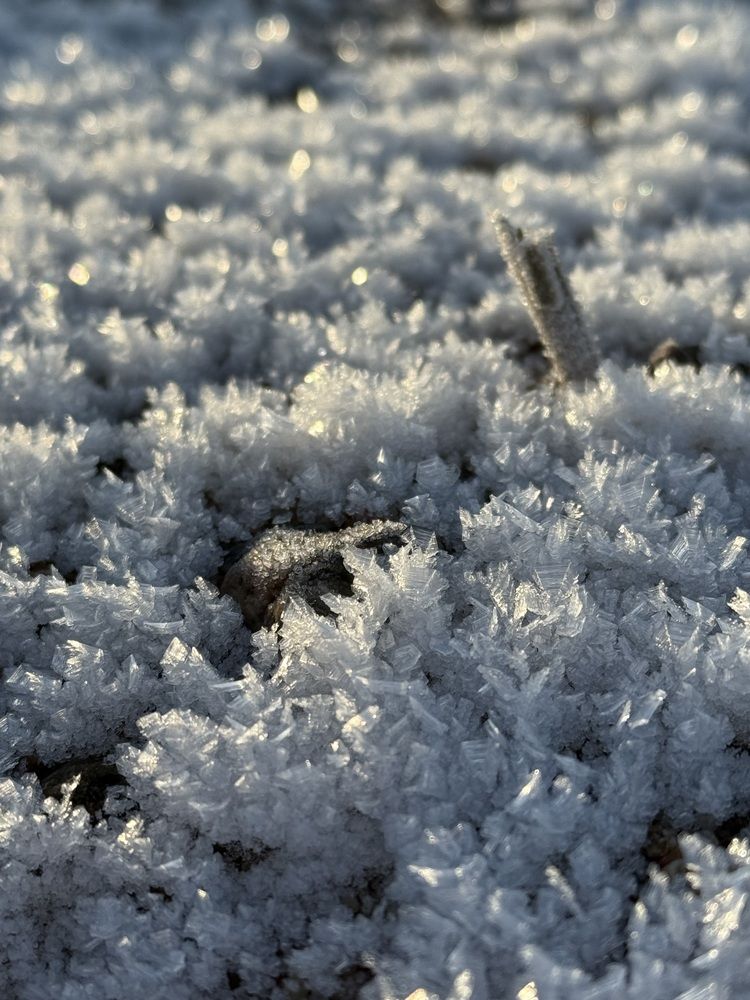 Photograph by Бондаренко Светлана