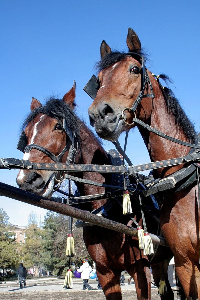 Фотография автора Александр Челмодеев