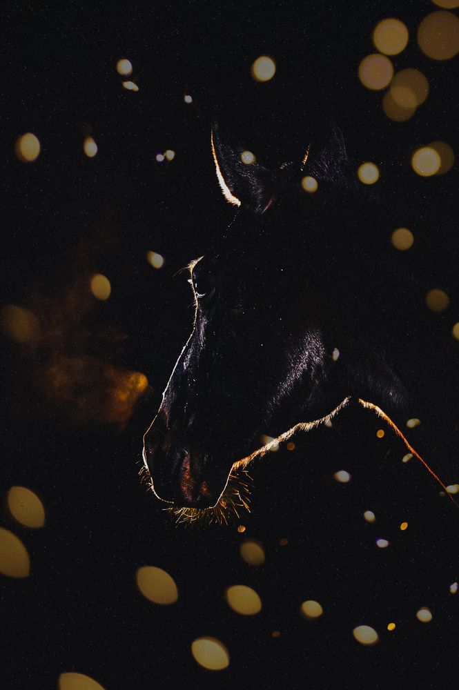 Photograph by Марина Чеботарева