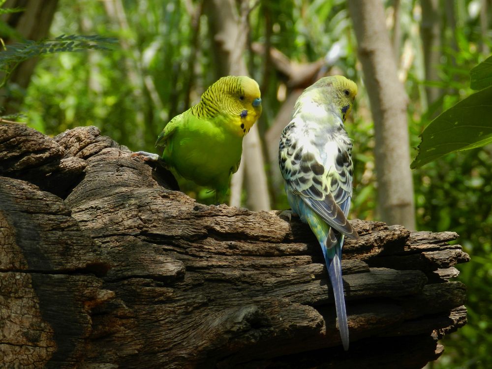 Photograph by Arkesh Mantri