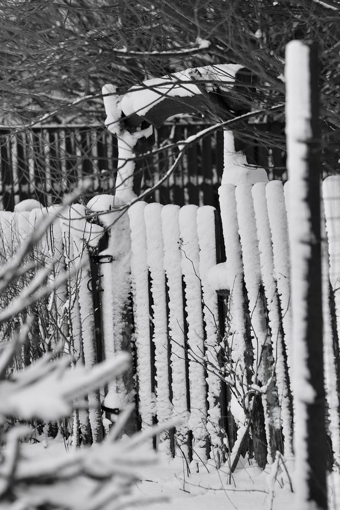 Photograph by Вера Сдвижкова