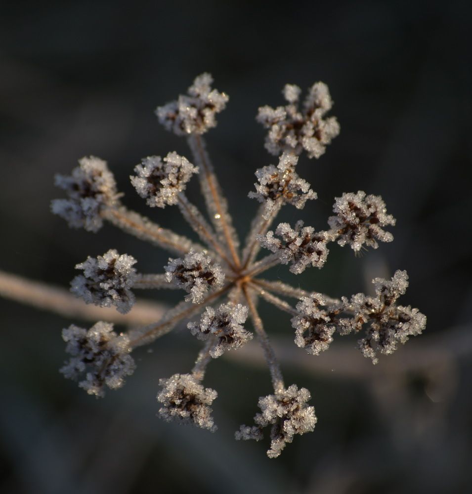 Photograph by павел николаевич