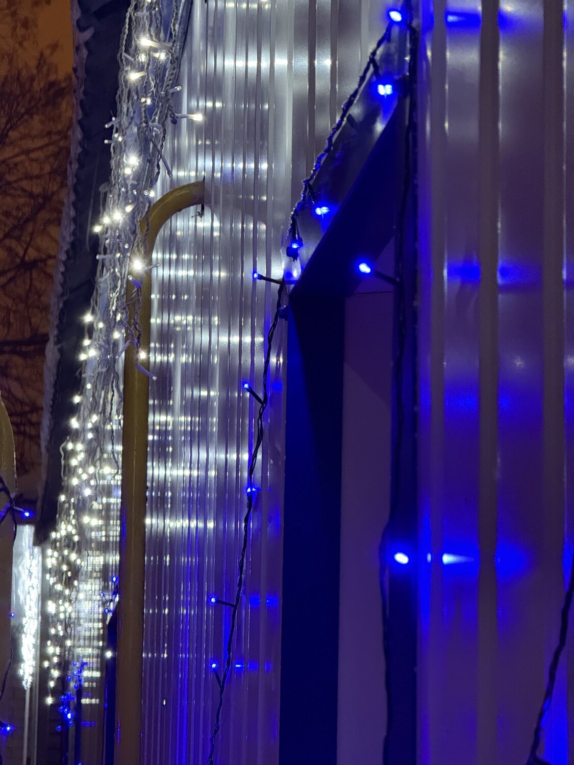 Photo #13012246