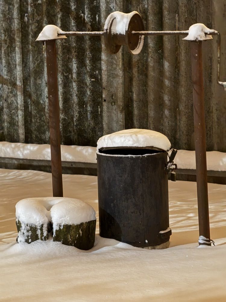 Фотография автора Татьяна