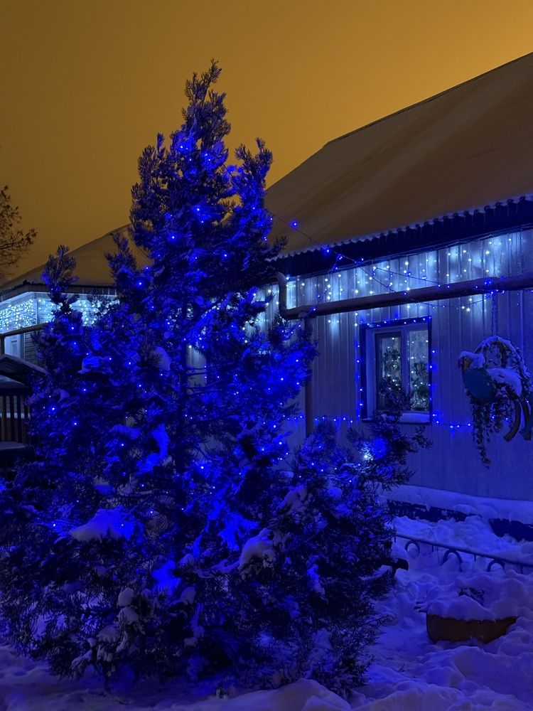 Фотография автора Татьяна