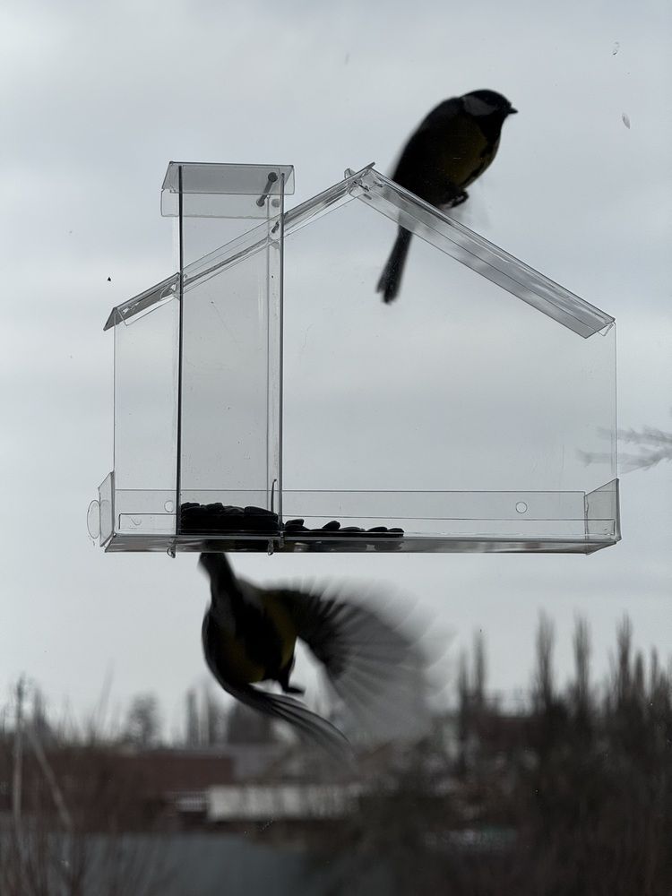 Photograph by Татьяна