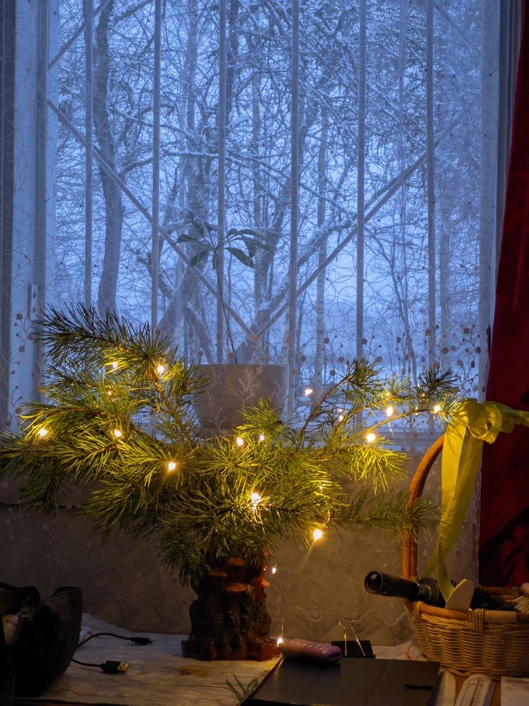 Фотография автора Alexandr Gorelenkov