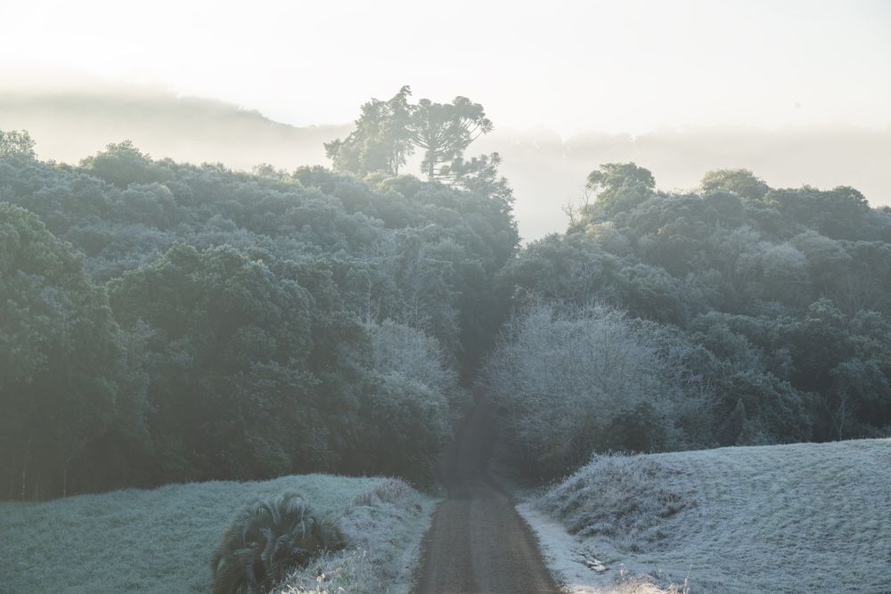 Photograph by Mateus Campos Felipe