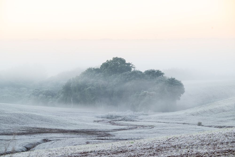 Photograph by Mateus Campos Felipe