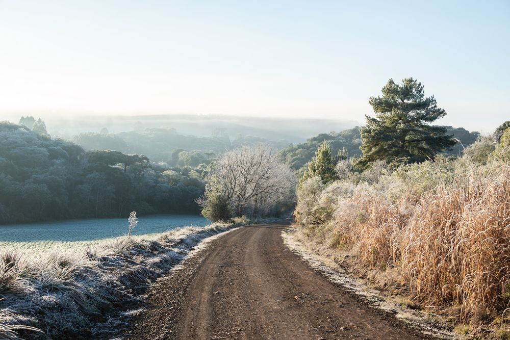 Photograph by Mateus Campos Felipe