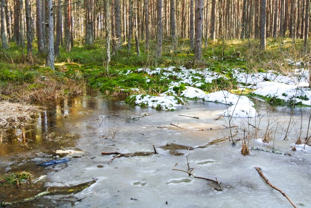 Photograph by Igors Rostikovs
